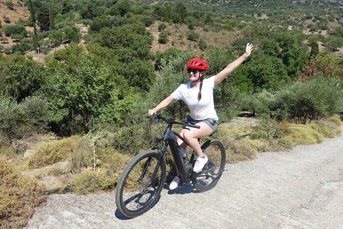 Small Villages and Cretan Nature. E-Bike tour - Olive cultivation lesson: what you learn changes how you see the groves