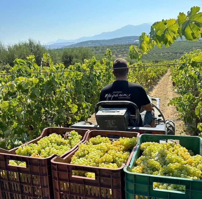 Soap, Wine, Raki, Olive Oil, Meet the local Producers Tour - Why This Producer Loop Feels Like Real Crete
