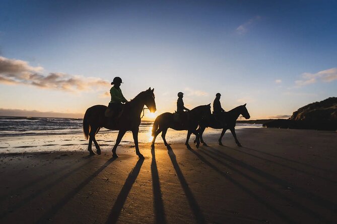 SoulRide: Horseback & Mindful Escape in Kissamos - Key highlights worth circling