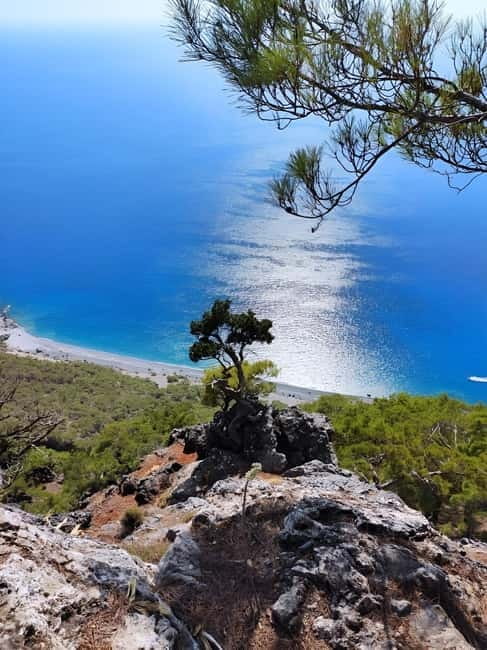 South Crete Tour from Heraklion - The Cliffside Coffee and Sfakian Pita With Thyme Honey