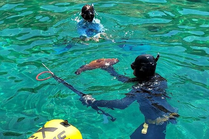 Spearfishing in Chania, Crete (price is per group) - Key things I’d circle before you book