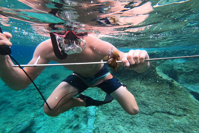 Spearfishing in Chania, Crete (price is per group) - Private group reality: up to 6-7 on the boat, 2 spearfishers at once