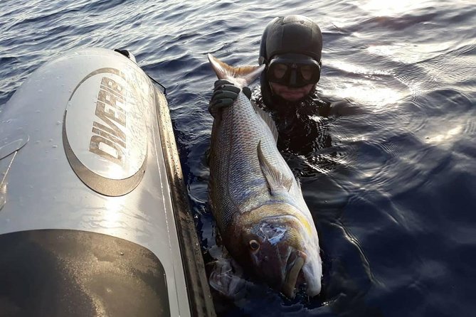 Spearfishing in Chania, Crete (price is per group) - The 6-hour flow in Chania, from meeting point to spearfishing spot