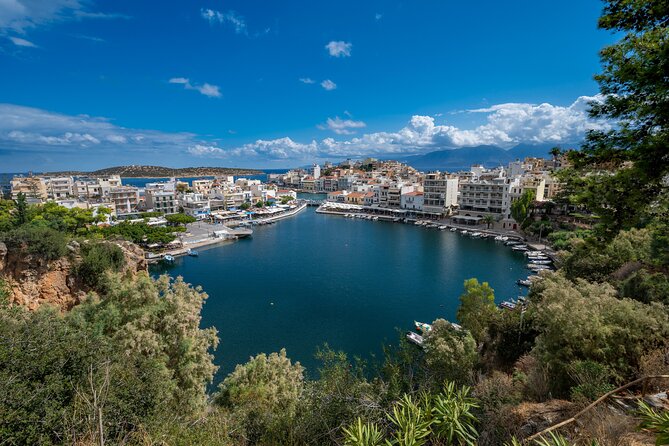 Spinalonga & Lasithi Plateau with Olive Oil Tasting - Olive oil tasting on Crete: what you actually learn