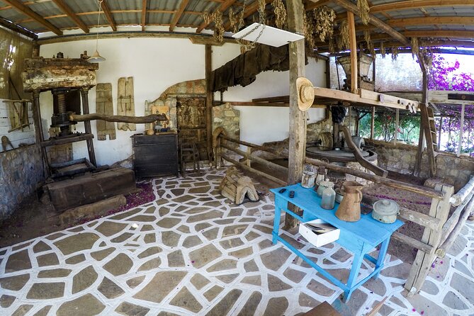Spiridi Olive Oil Farm Tour - Who should book this farm tour, and who might not love it