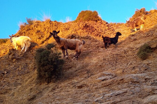Sunset Jeep Tour in Crete - Karfi at Sunset: Prosecco, Fruits, and Photo Time