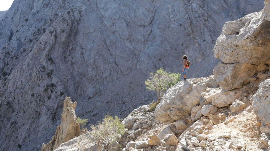 Tailored Samaria Tour That Nobody Will Believe. From Chania. - The 18 km hike: Xyloskalo to the end of the canyon