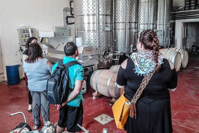 The Gourmet Wine Tour of Heraklion area - Value check: what you get for the $199.12 price