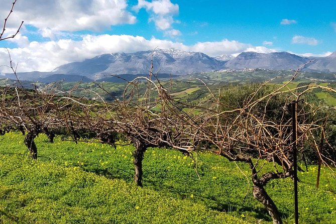 The Gourmet Wine Tour of Heraklion area - Who this tour is best for