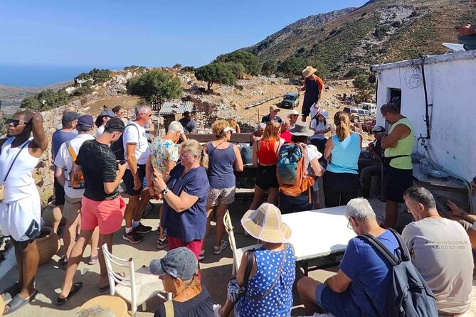 The Roads Of Wine Olive Oil And Cretan Tradition in Malia - Roads Of Wine: A Full-Flavored Day Centered on What Crete Makes