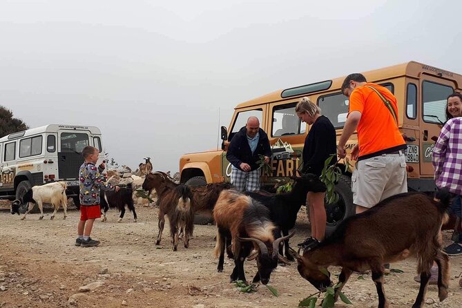 The Roads Of Wine Olive Oil And Cretan Tradition in Malia - Who This Tour Is Best For