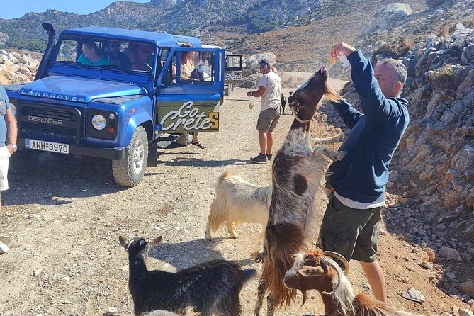 The Roads Of Wine Olive Oil And Cretan Tradition in Malia - The Central Crete Route: Olive Oil and Wine Traditions in Real Life