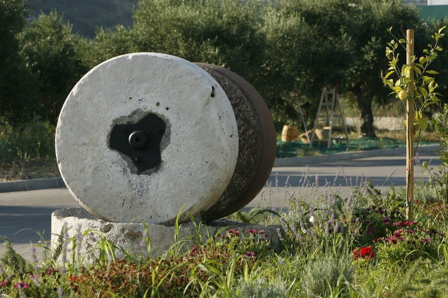 The Terra Creta Olive Oil Experience Tour - Key Points at a Glance