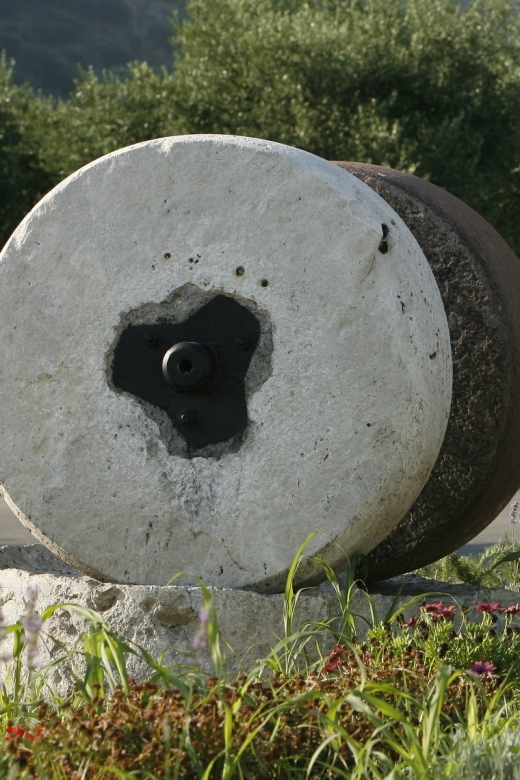The Terra Creta Olive Oil Experience Tour - Seasonality and Access: When the Tour Changes in Crete