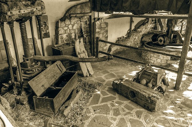 Traditional Olive Oil Making at Spiridi Olive Oil Farm - Crete - Timing, group size, and what to wear so you stay comfortable