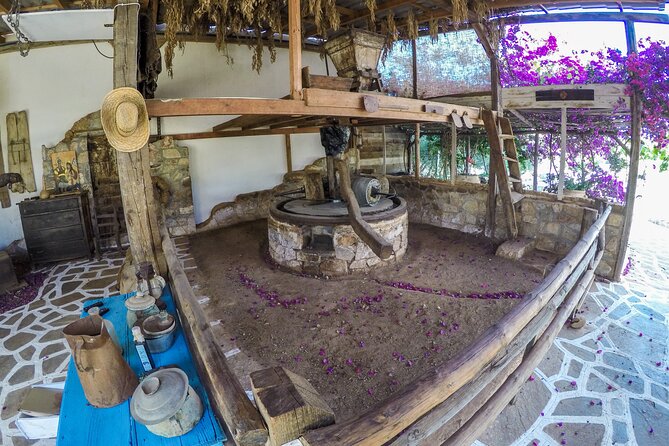 Traditional Olive Oil Making at Spiridi Olive Oil Farm - Crete - The 10:30 stone mill and wooden press workshop (what you will actually do)