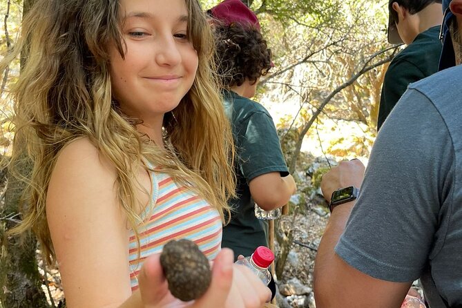 Truffle Hunting, Culinary & Wine Celebration from Elounda - Key highlights you should care about