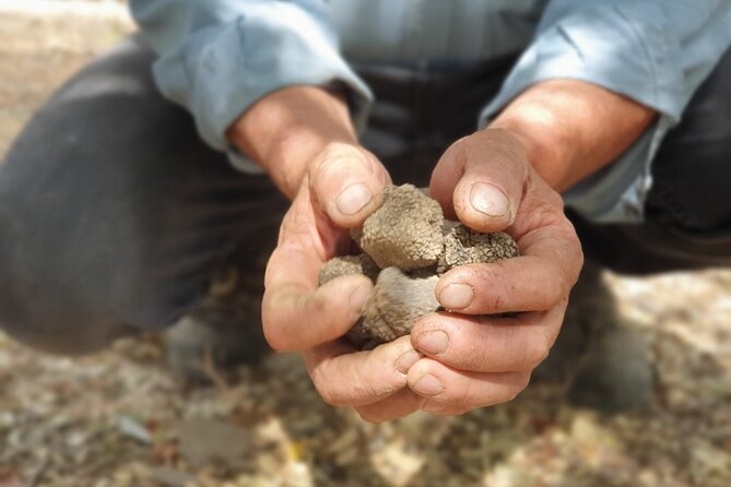 Truffle Hunting, Culinary & Wine Celebration from Elounda - Why this day trip feels different from a typical Cretan tour