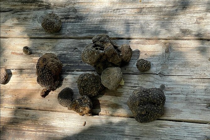 Truffle Hunting, Culinary & Wine Celebration from Elounda - Dikteon Cave of Zeus plus pottery and Panagia Kera Kardiotissa