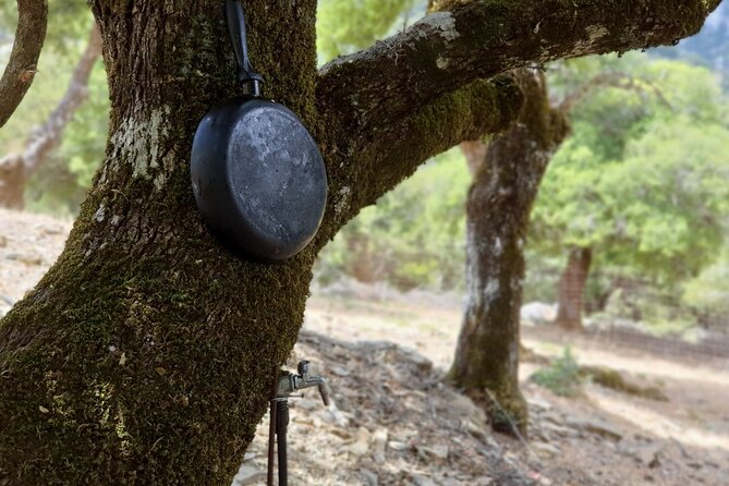 Truffle Hunting, Culinary & Wine Celebration from Elounda - Getting started in Agios Nikolaos, then heading straight into truffle country