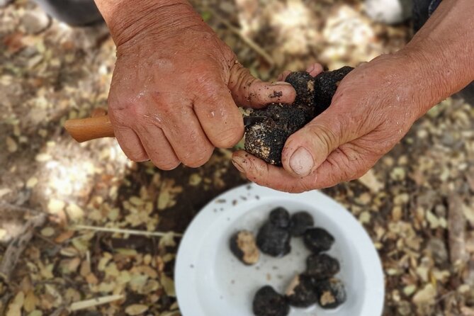 Truffle Hunting, Culinary & Wine Celebration from Heraklion - Cretan cooking demonstration, wine pairing, and how fresh truffles become lunch