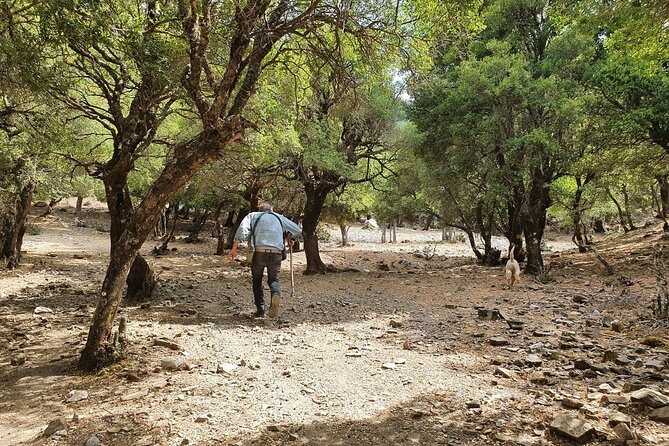 Truffle Hunting, Culinary & Wine Celebration from Heraklion - Stop-by-stop: Lassithi Plateau villages, Dikti breakfast, and Krasi windmill views