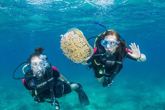 Try Scuba in Crete – Free Certification & Photos (Beginners) - Try Scuba in Chania: What You’re Really Signing Up For