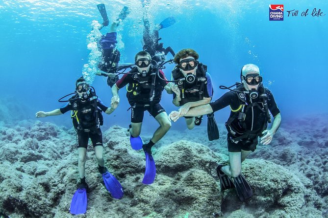 Try Scuba in Crete – Free Certification & Photos (Beginners) - Before You Go In: Briefing, Gear, and What the Instructors Actually Teach