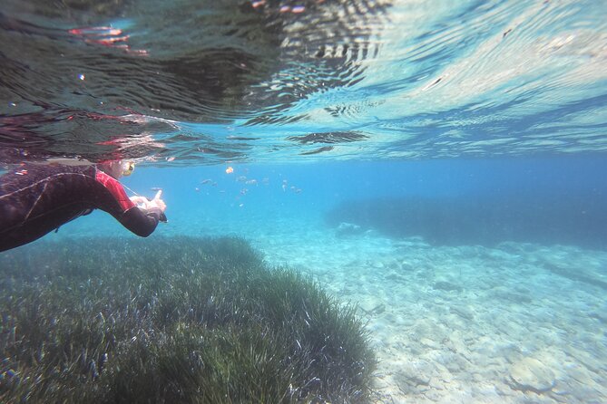 Try Snorkeling in the Sea with the Blue Dolphin Team - Key things that make this snorkeling trip work