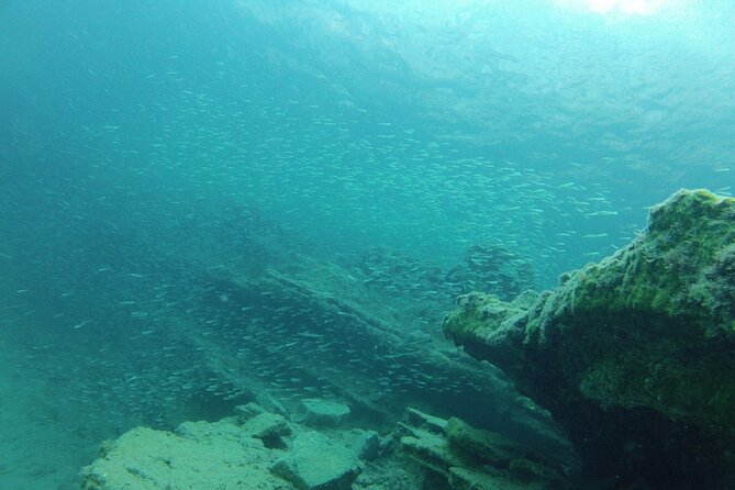 Try Snorkeling in the Sea with the Blue Dolphin Team - What you get in the first 30 minutes: safety and snorkel basics