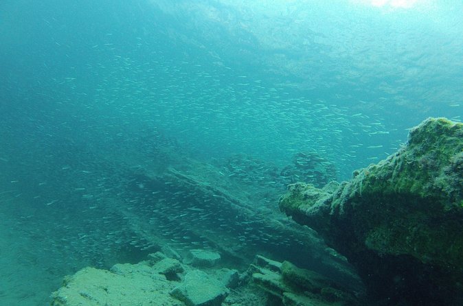 Try Snorkeling in the Sea with the Blue Dolphin Team - Small group size, maximum 6 people, and why it feels personal