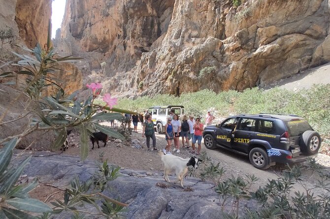 Trypiti beach and gorge Jeep Safari - Stop 6: Agisilaos-Stella Taverna Cretan BBQ in an olive forest