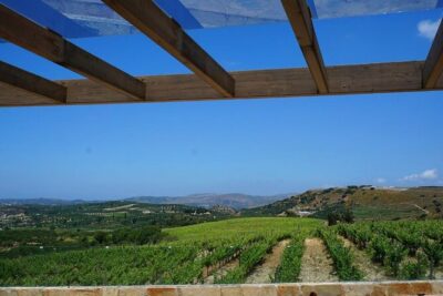 Unique wine tasting of organic Cretan wines