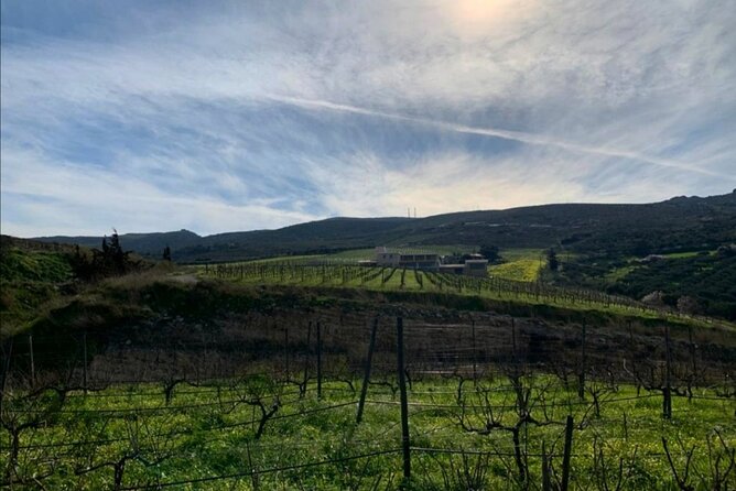 Unique wine tasting of organic Cretan wines - The value angle: $26.75 for 1 hour of organic storytelling