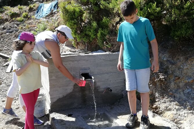 Van Tour on the Countryside of Chania - Price and value: what $96.79 buys for a 7-hour day