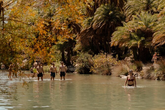 WaytoCrete: South Crete Highlights & Flavors - Preveli Palm Forest, Cretan Date Palms by the River and Sea