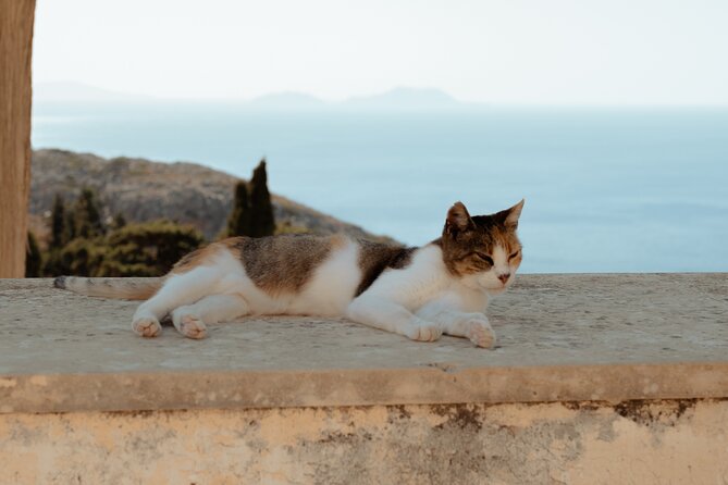 WaytoCrete: South Crete Highlights & Flavors - Who This South Crete Highlights Tour Fits Best