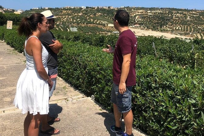 Wine olive and Food of Crete, Heraklion - Olive oil tasting in Crete: what you should pay attention to