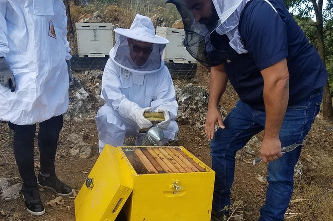 Wine, Olive Oil, and Honey Tour with Winemaker - Key Highlights You’ll Actually Care About