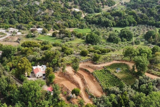 Wine, Olive Oil, and Honey Tour with Winemaker - Price and Timing: Is $217.23 Worth It for 6.5 Hours?