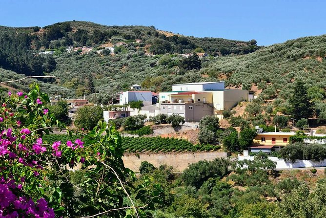 Wine & Olive Oil tasting one day private tour in Crete - The tasting table: five wines plus olive oil and rusk