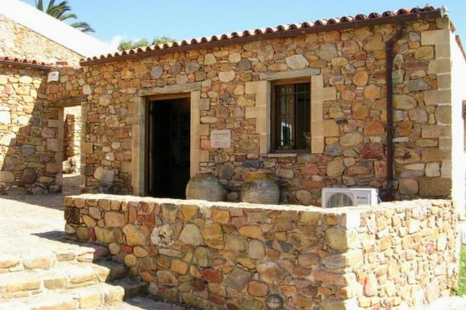 Wine & Olive Oil tasting one day private tour in Crete - Timing tips: make your day run smoother