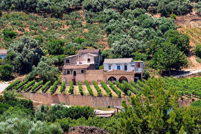 Wine & Olive Oil tasting one day private tour in Crete - Monastery of the Holy Trinity Tzagarolon: olives, icons, and living craft
