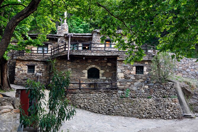 Wine & Olive Oil Tour with Lunch at Milia Mountain Retreat - Key things to know before you go