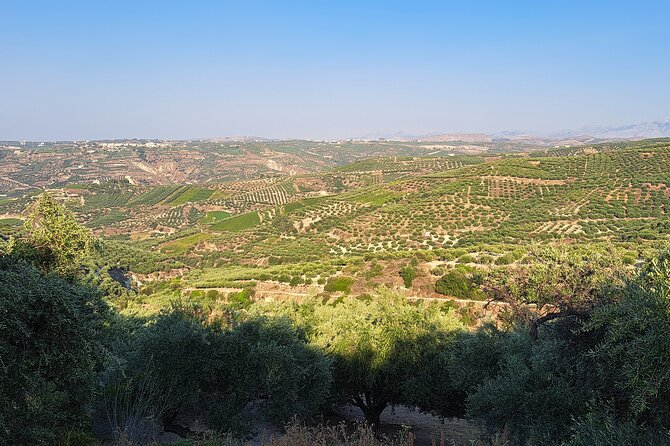 Wine Raki Olive Oil Tasting and Pottery - Private Tour - Who this tour suits best, and when it might not