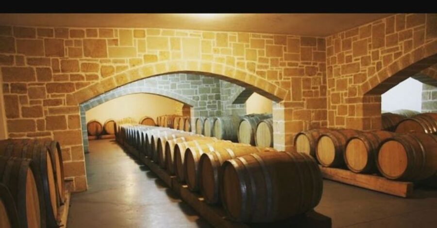 Wine Tasting & Ancient Olive Tree 3 Hours Tour – Private - Should You Book It?