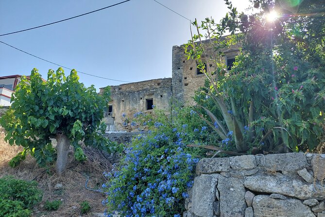 Wine Tasting: Meet the Cretan Vineyard at West Chania - Pairing your wine with local foods that make sense