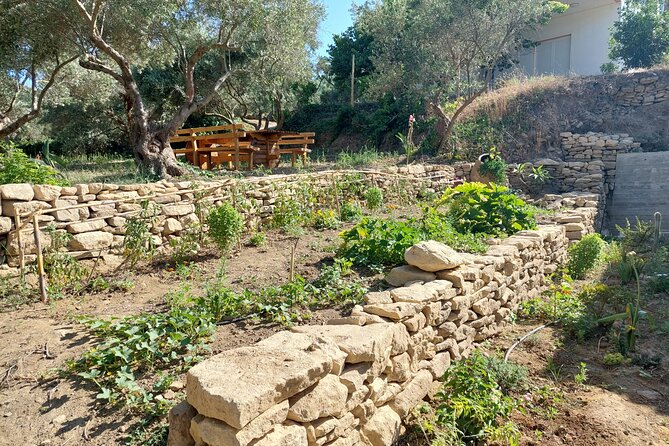 Wine Tasting: Meet the Cretan Vineyard at West Chania - The story behind the pours: Crete’s winemaking history explained
