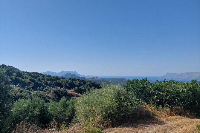 Wine Tasting: Meet the Cretan Vineyard at West Chania - Language, group size, and what that means for your experience