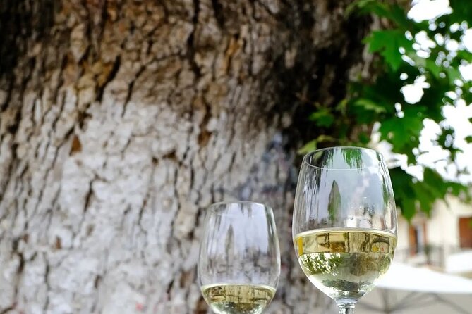 Wine Tasting Walking Tour in Old Town Chania - Stop 1 at the Old Venetian Harbor, lighthouse views with your first tastings